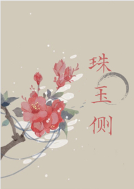 微珠项目风险识别与评价